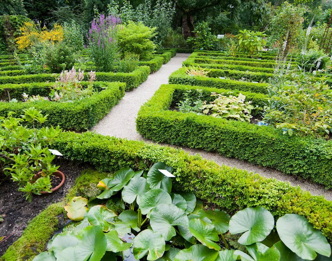 Orto botanico di Amsterdam